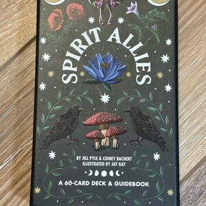 Spirit Allies Card Deck and Guidebook